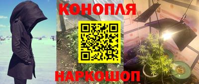 spice Бийск