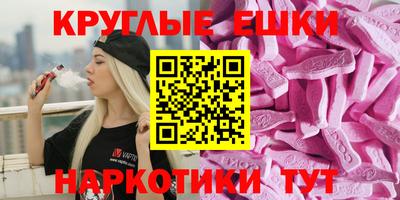 spice Бийск