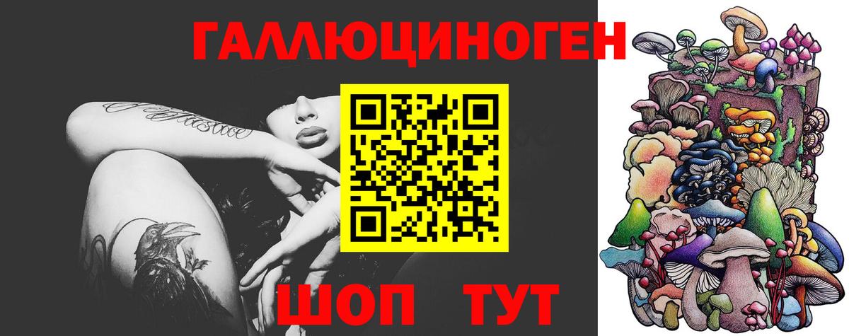 Иваново  Галлюциногенные грибы GOLDEN TEACHER  Вход с VPN  Галлюциногенные грибы Psilocybine cubensis 